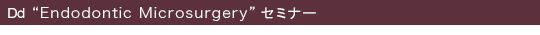 Dd“Endodontic Microsurgery”セミナー